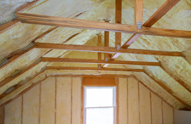 Best Spray Foam Insulation  in Parowan, UT